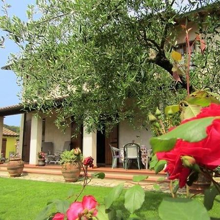 Casa Vacanze Lulu Camaiore Eksteriør bilde