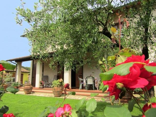Casa Vacanze Lulu Camaiore Eksteriør bilde