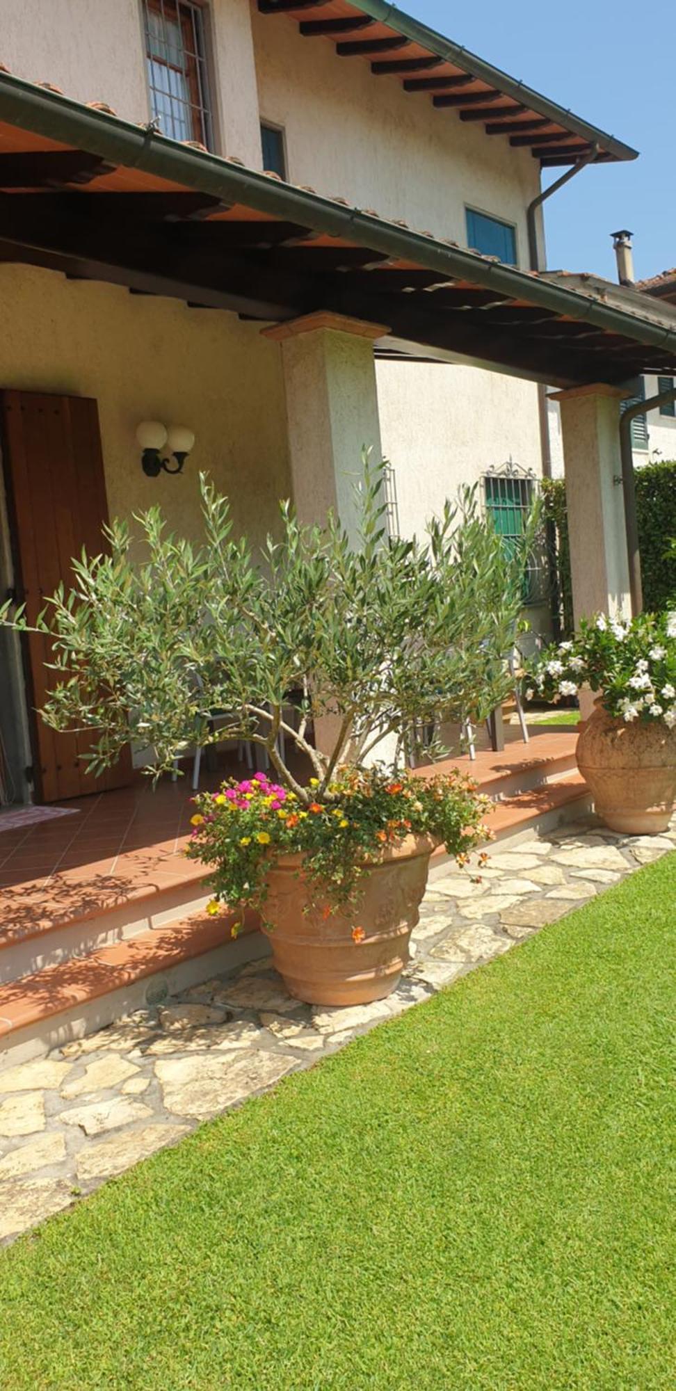 Casa Vacanze Lulu Camaiore Eksteriør bilde